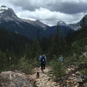 Meet your Posher, Alison